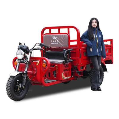 Dump Bed 3 Wheeler Loading Auto
